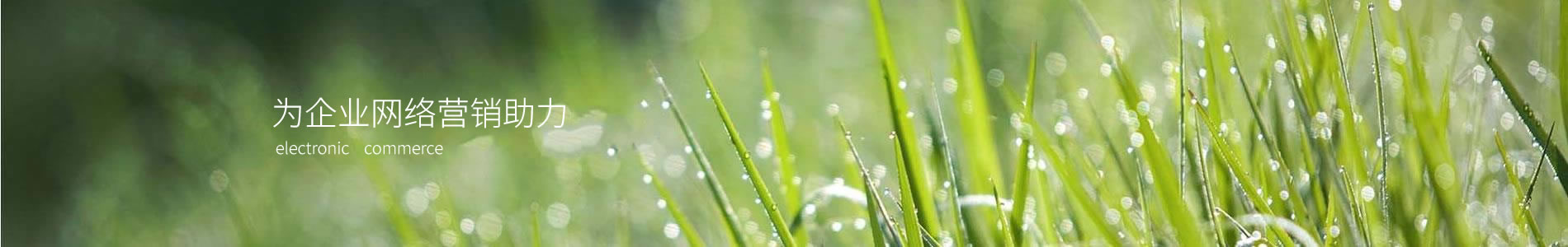 ݼʤ޹˾